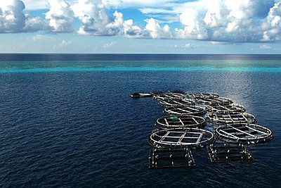 養殖網箱廣州中航