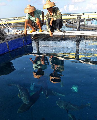 養殖網箱廣州中航